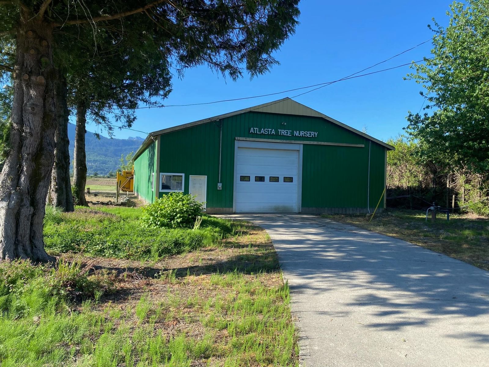 Listing Image 10