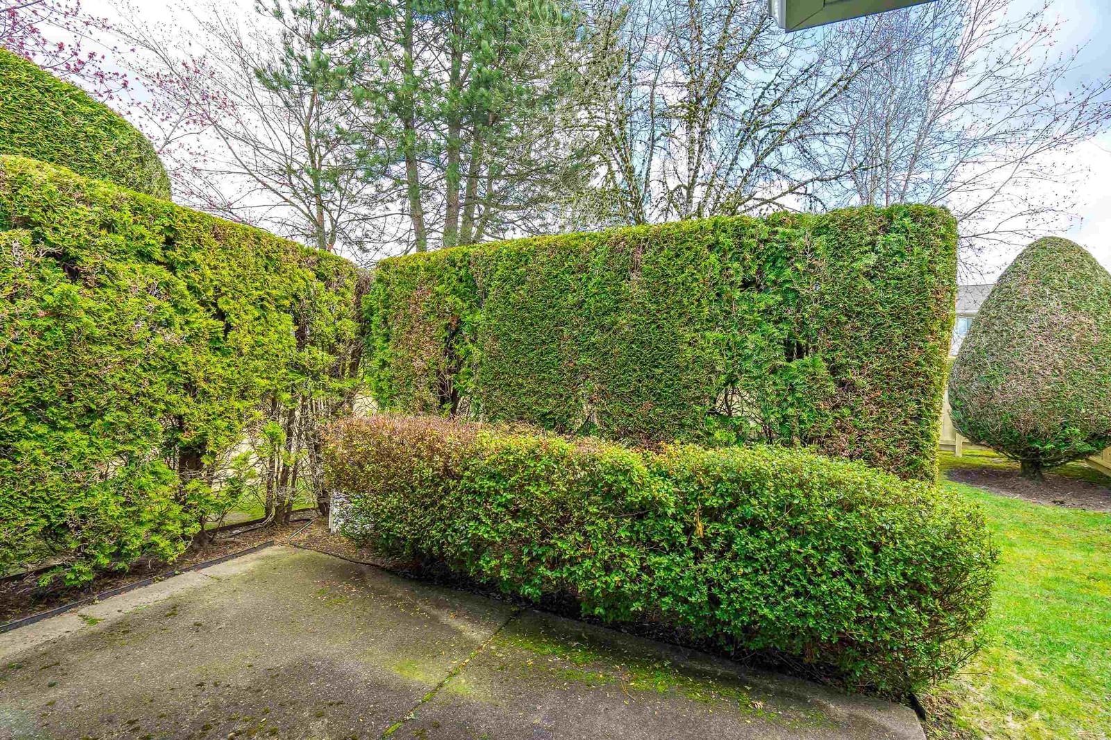 Listing Image 37