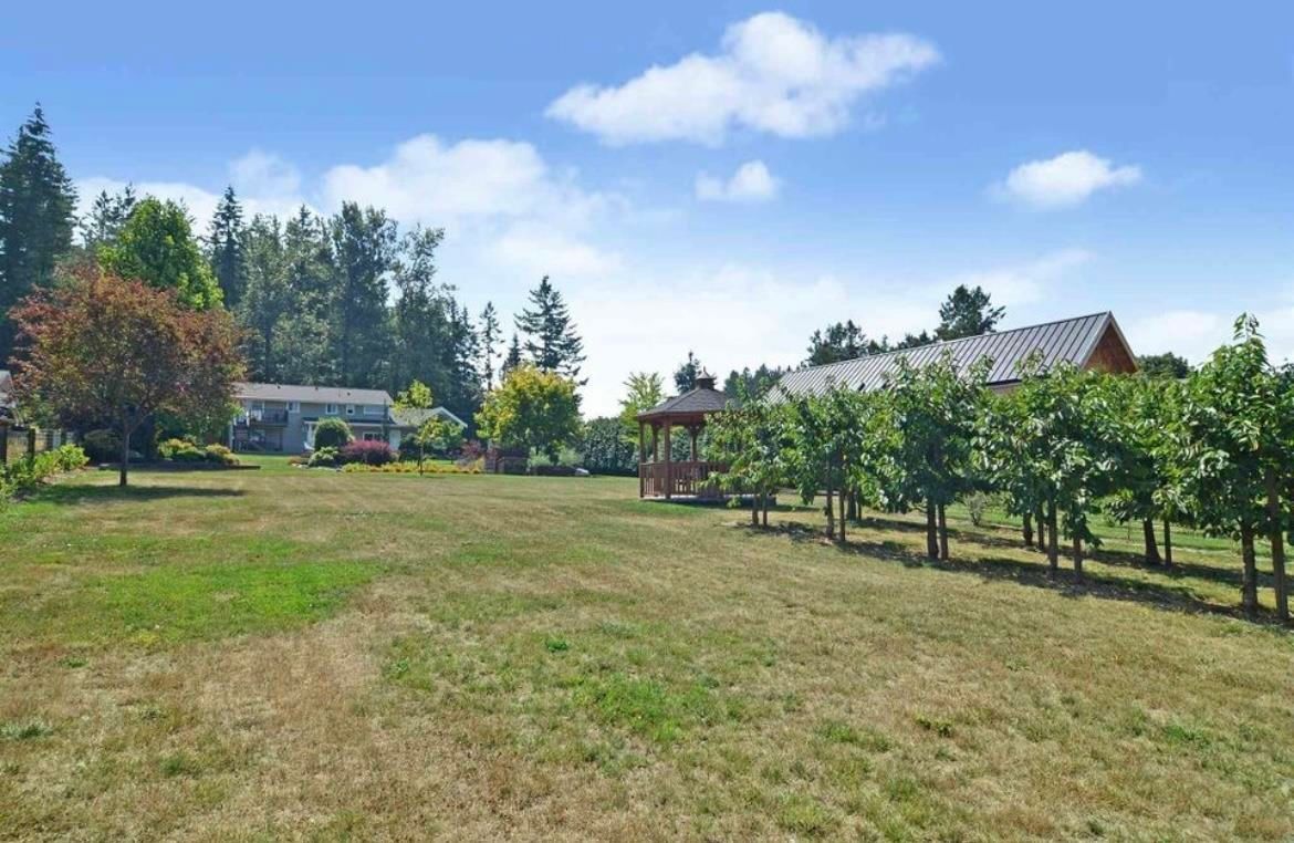 Listing Image 11