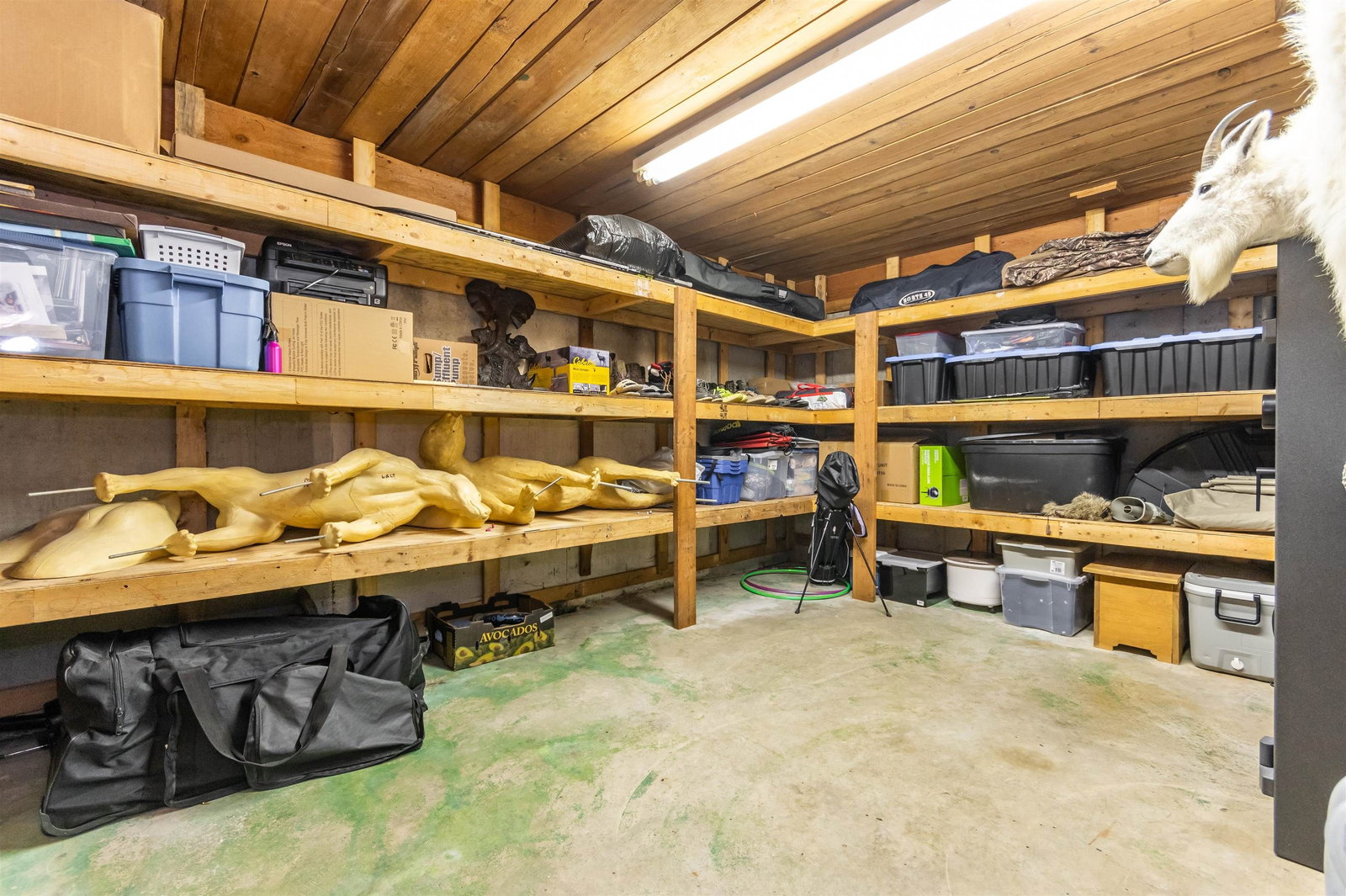 Listing Image 24