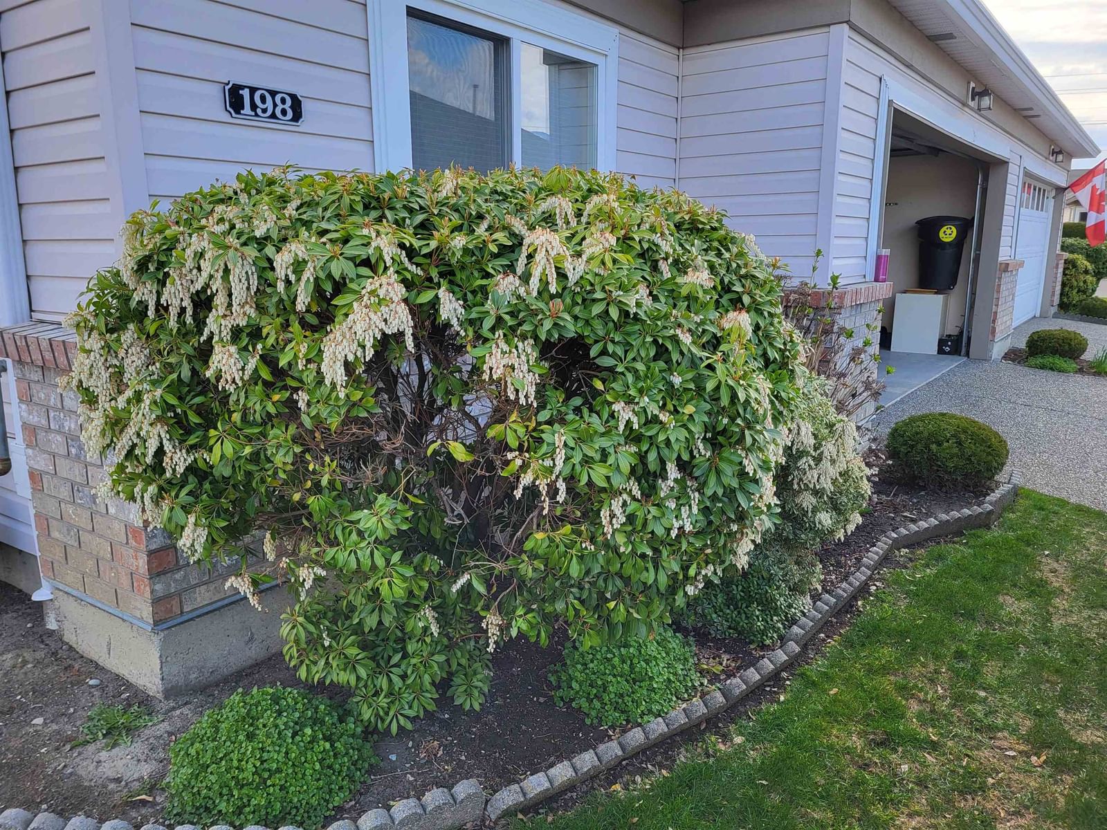 Listing Image 19