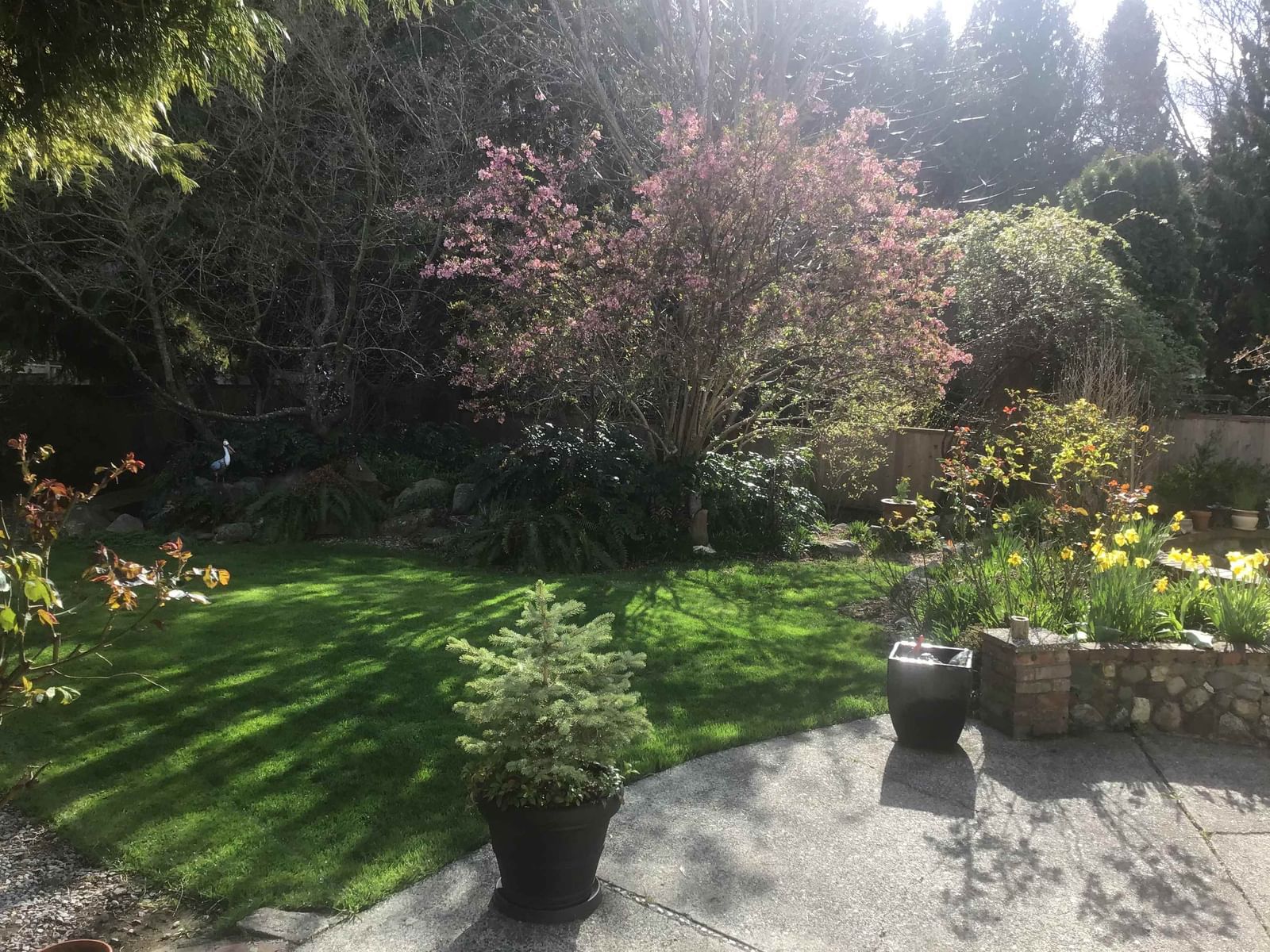 Listing Image 33