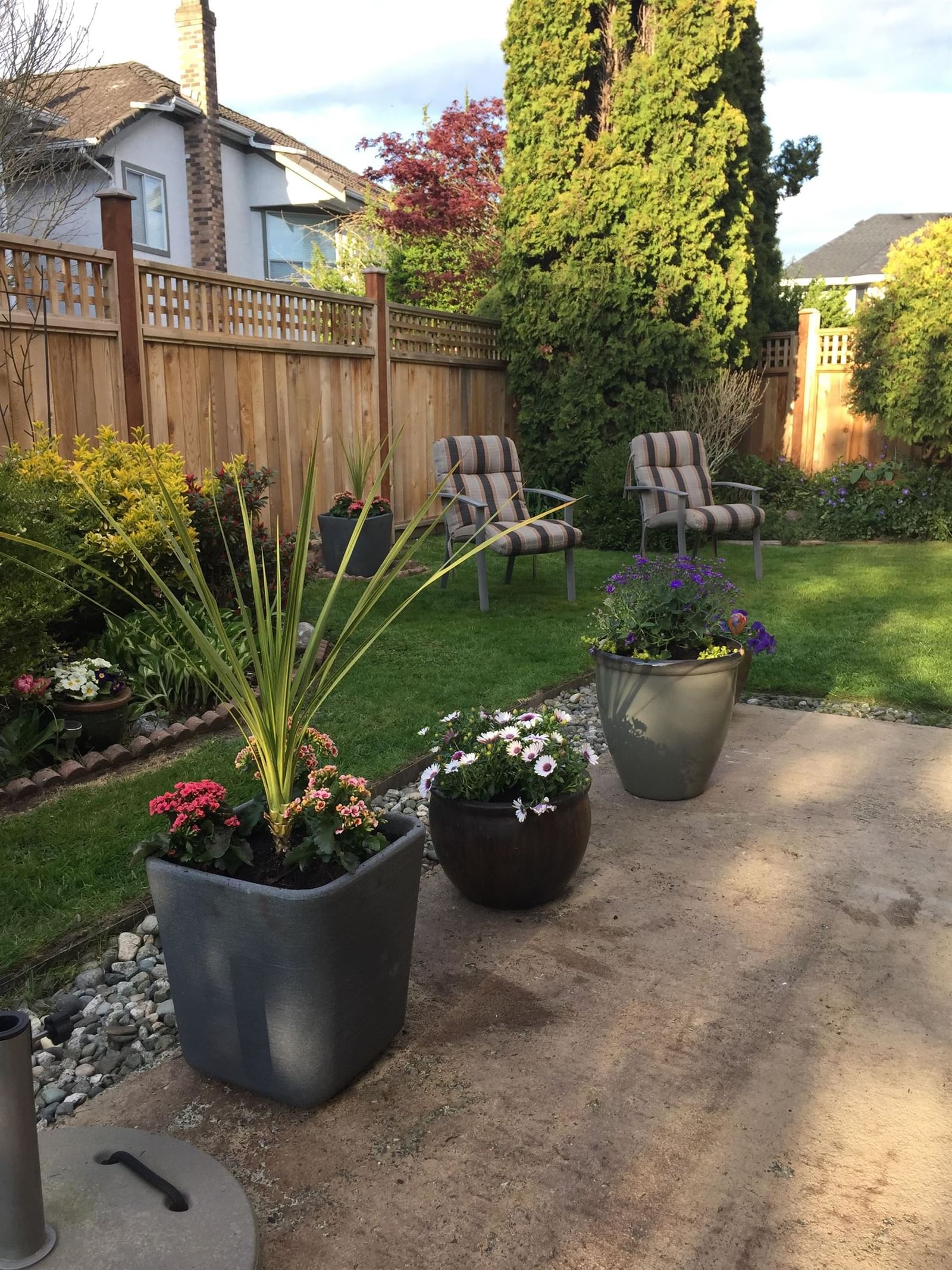 Listing Image 20