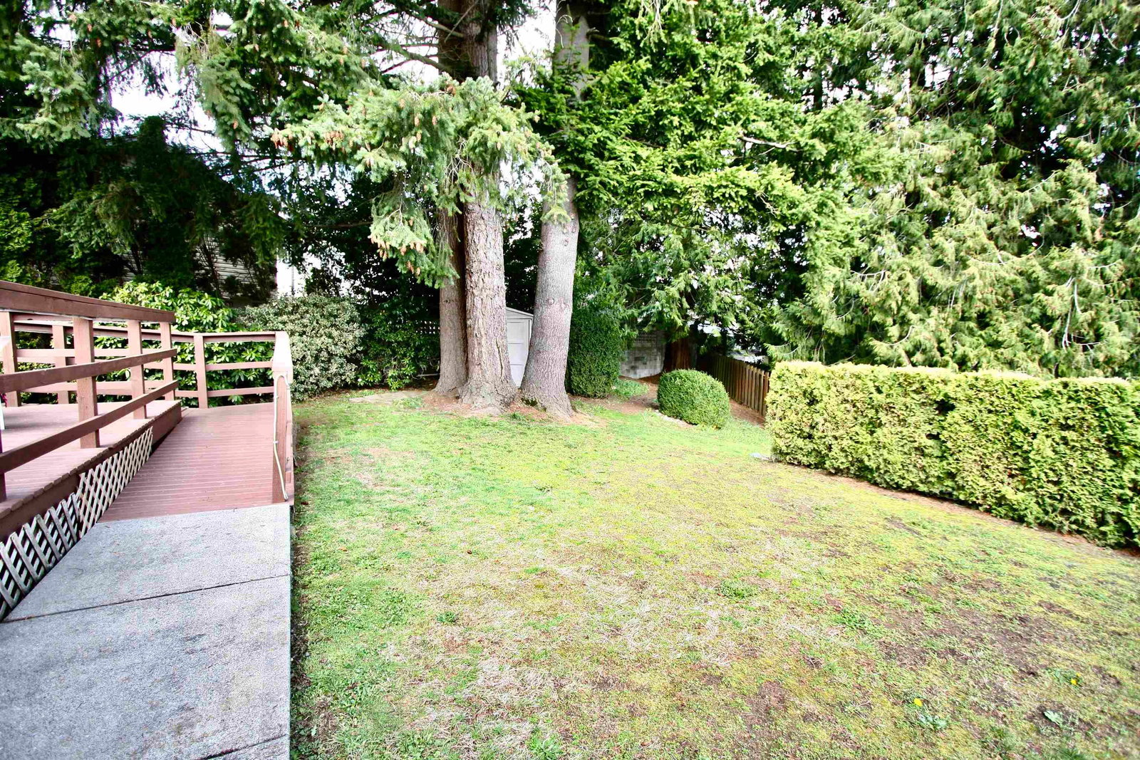 Listing Image 37
