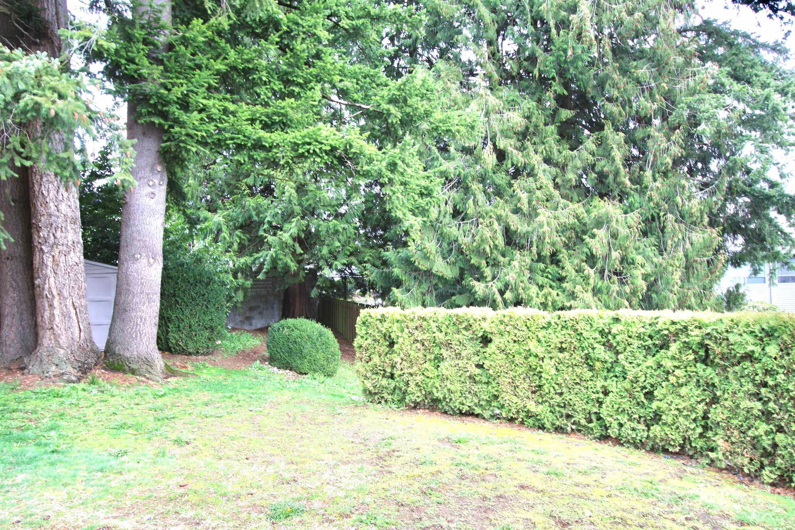 Listing Image 39