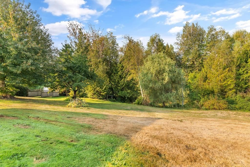Listing Image 34