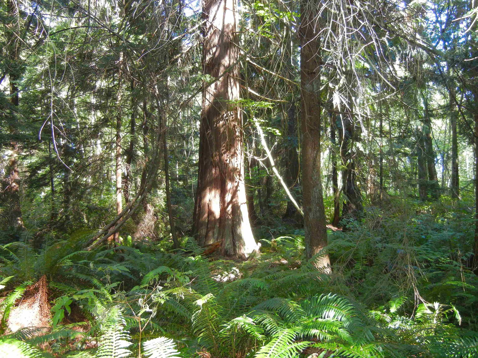 Listing Image 33