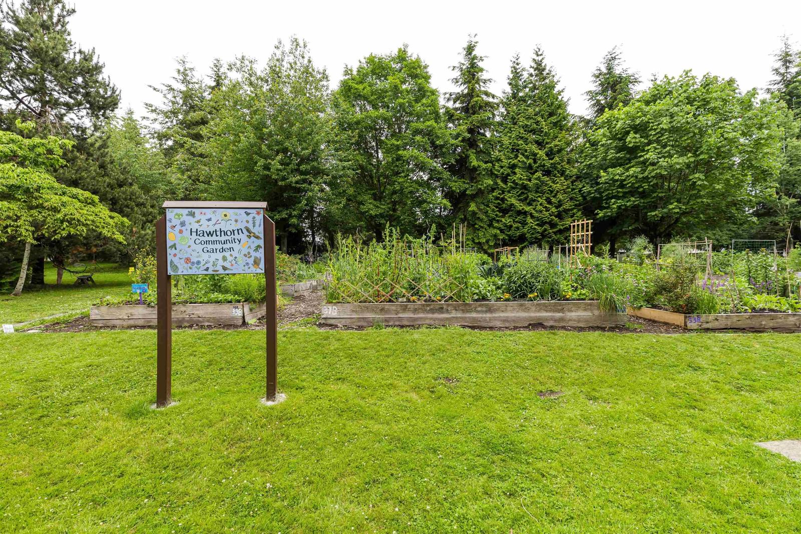 Listing Image 31