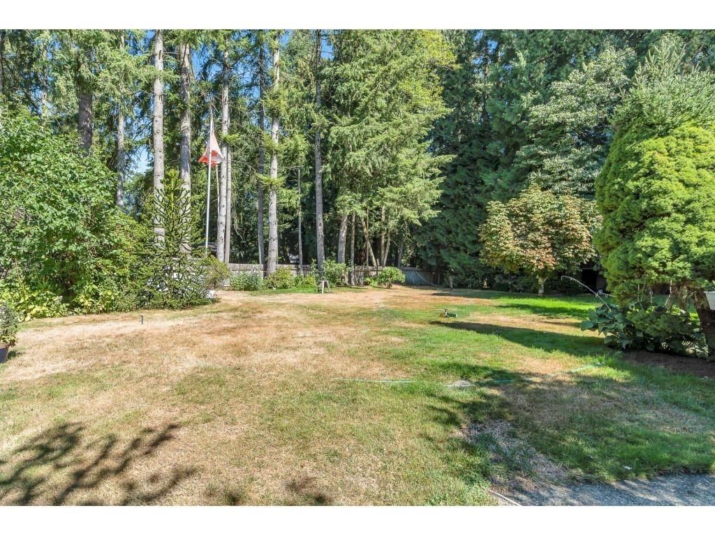 Listing Image 17