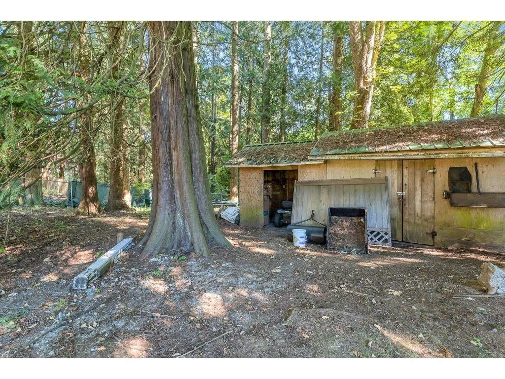 Listing Image 21
