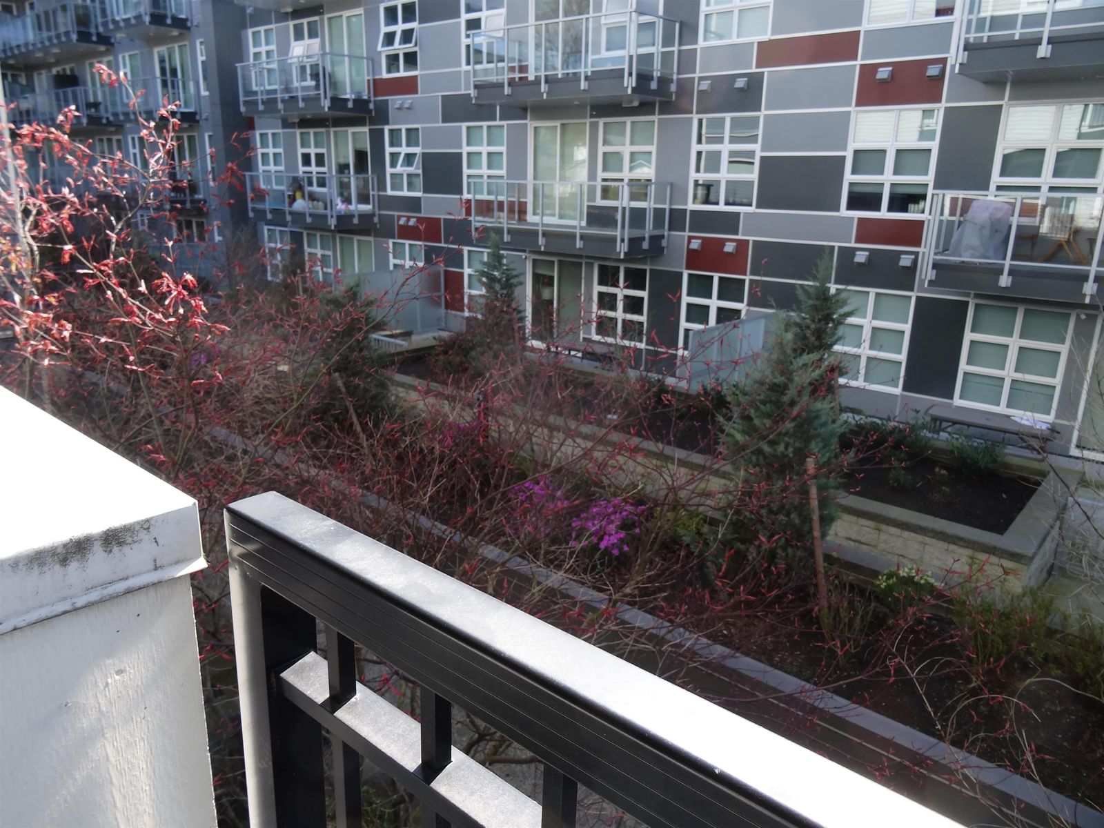 Listing Image 15