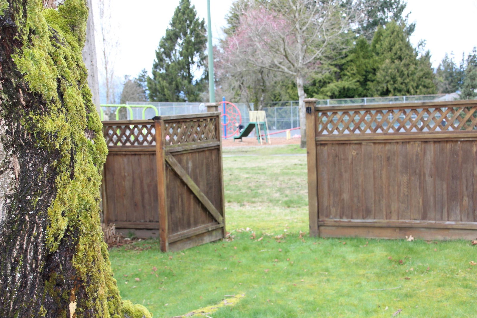 Listing Image 32
