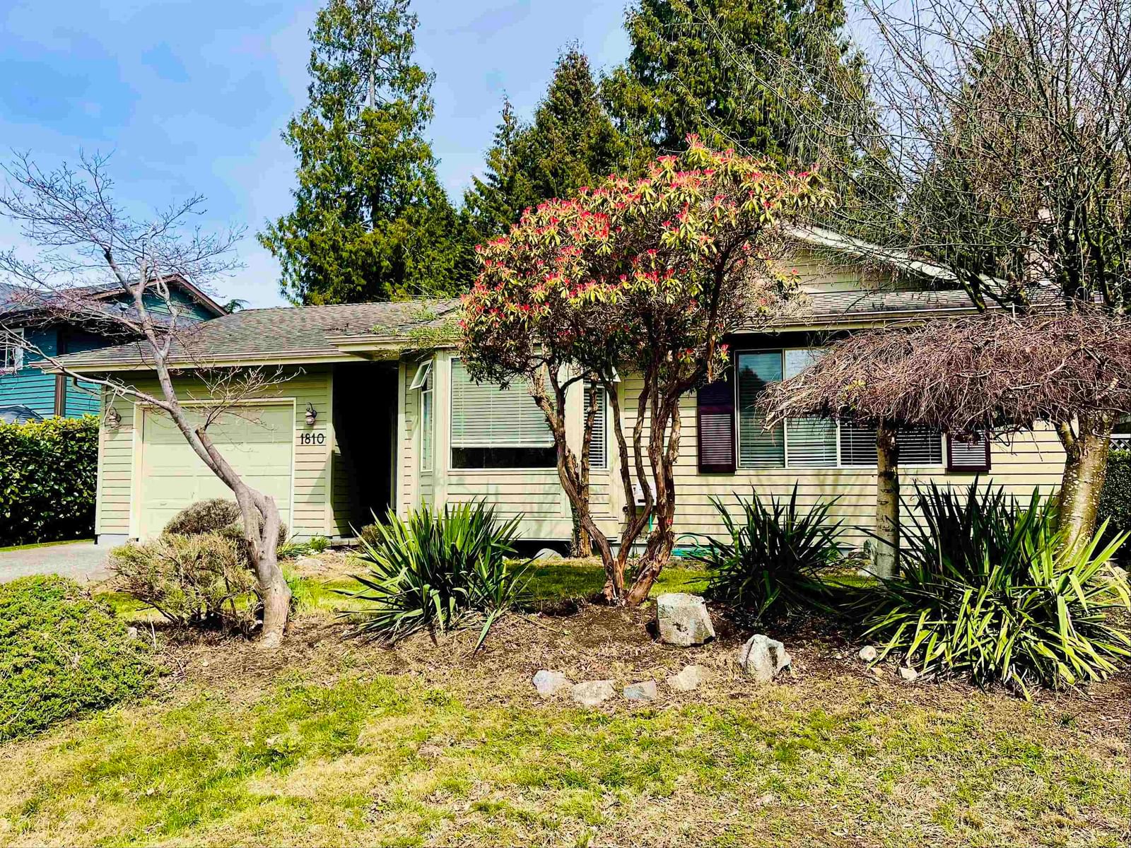 Listing Image 1