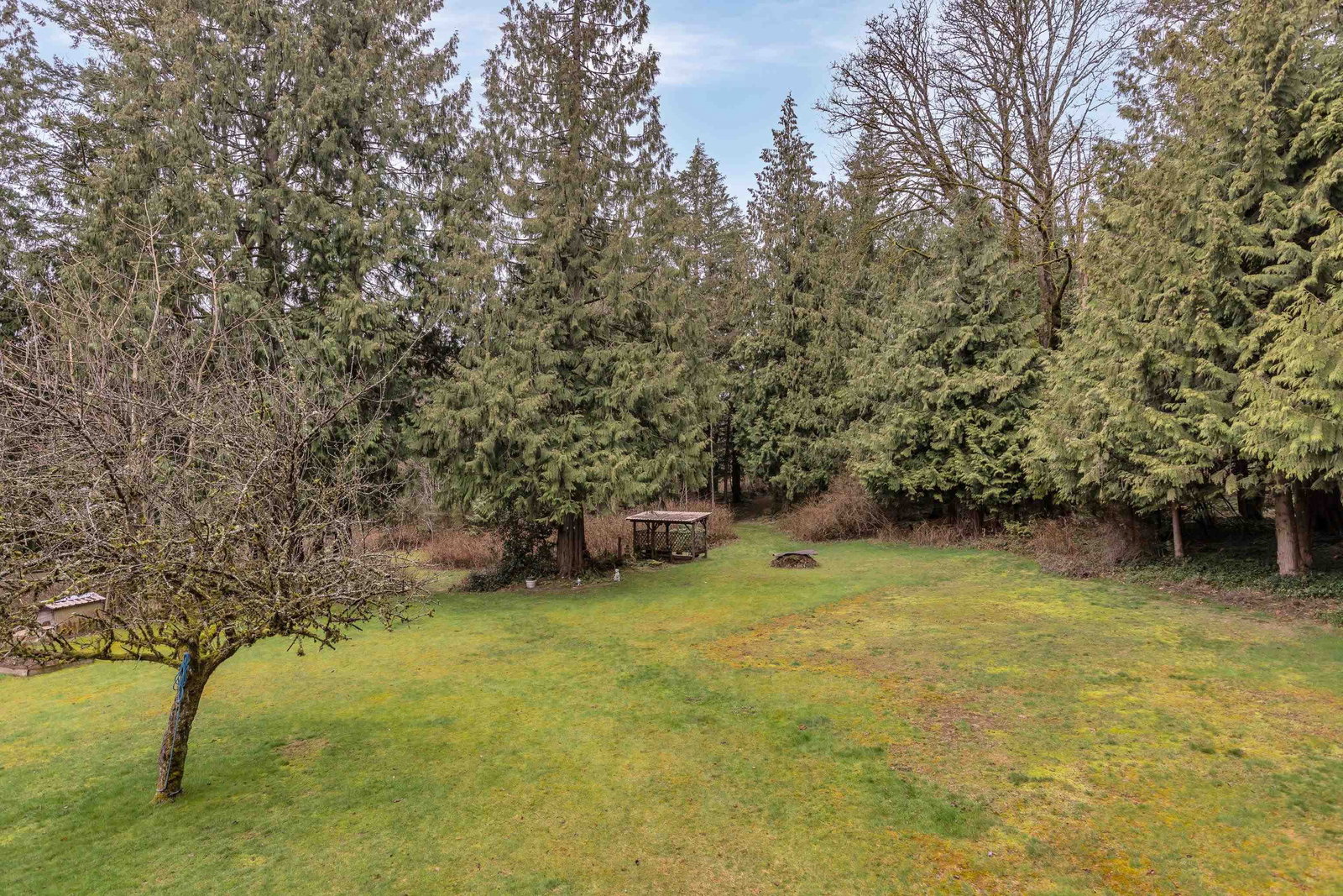 Listing Image 33