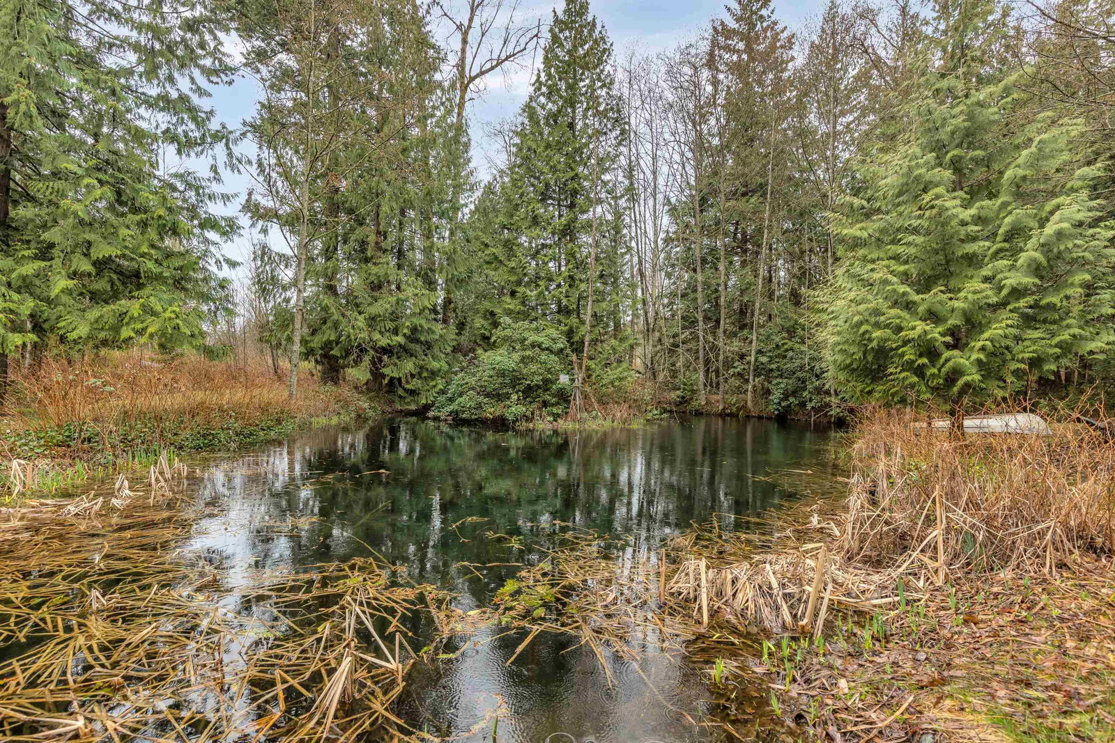 Listing Image 36