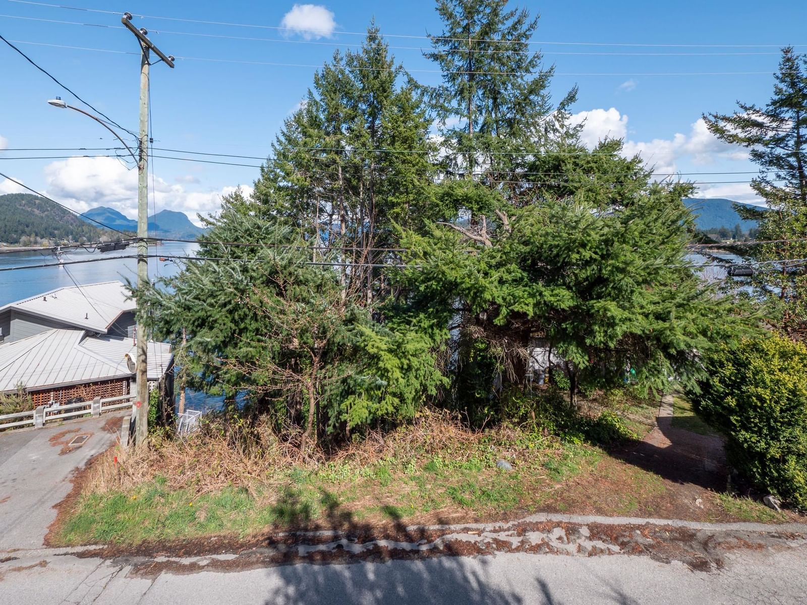 Listing Image 12