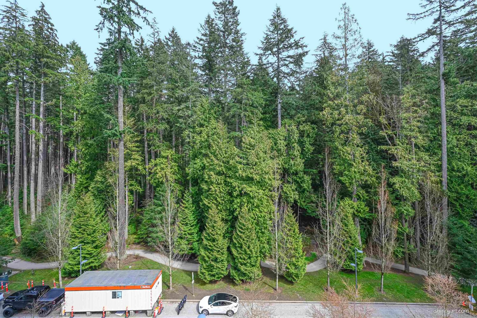 Listing Image 17
