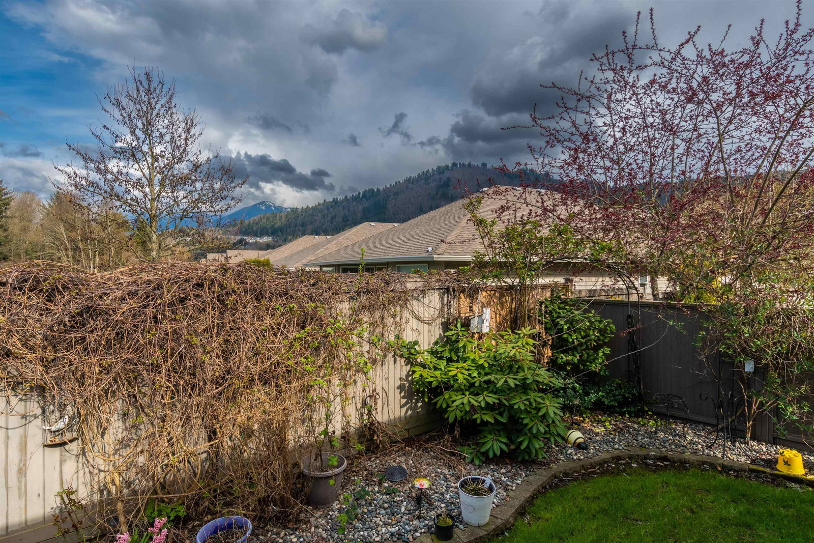 Listing Image 33