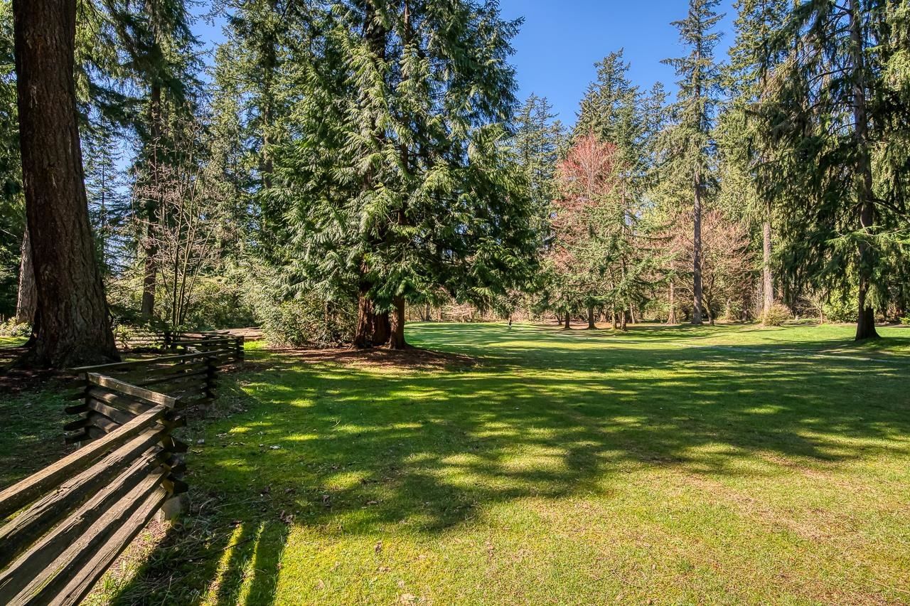 Listing Image 39
