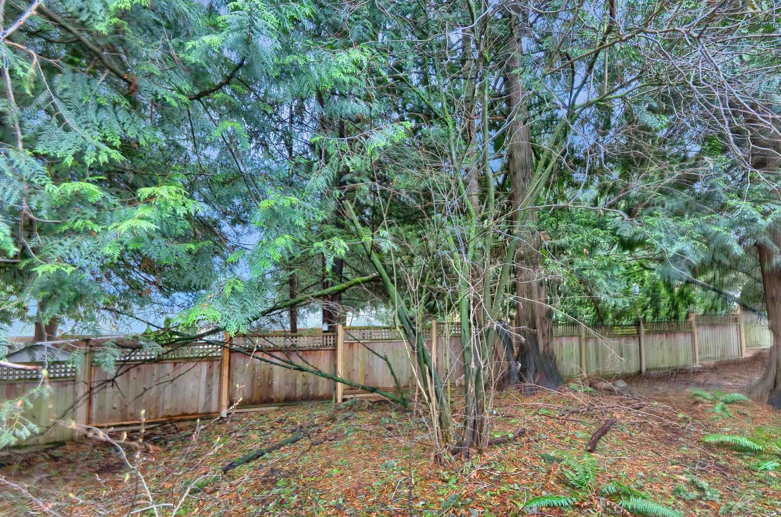 Listing Image 32