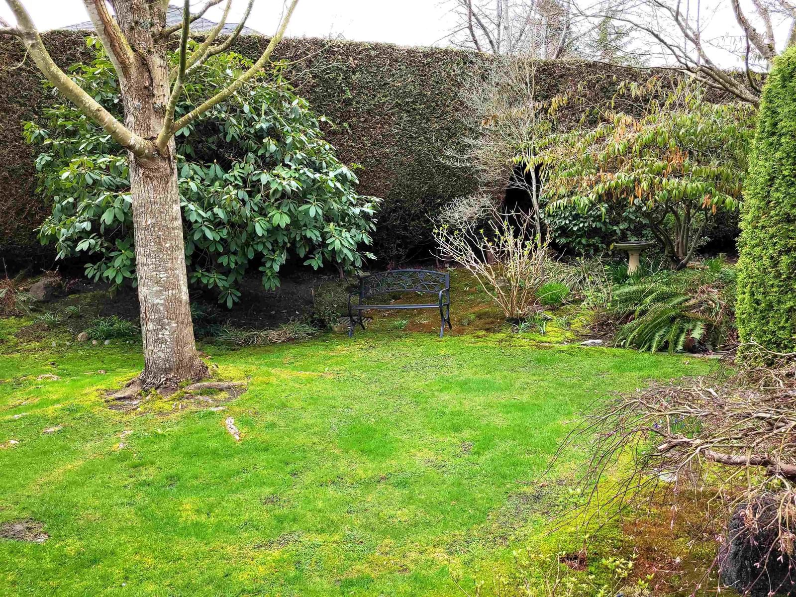 Listing Image 14