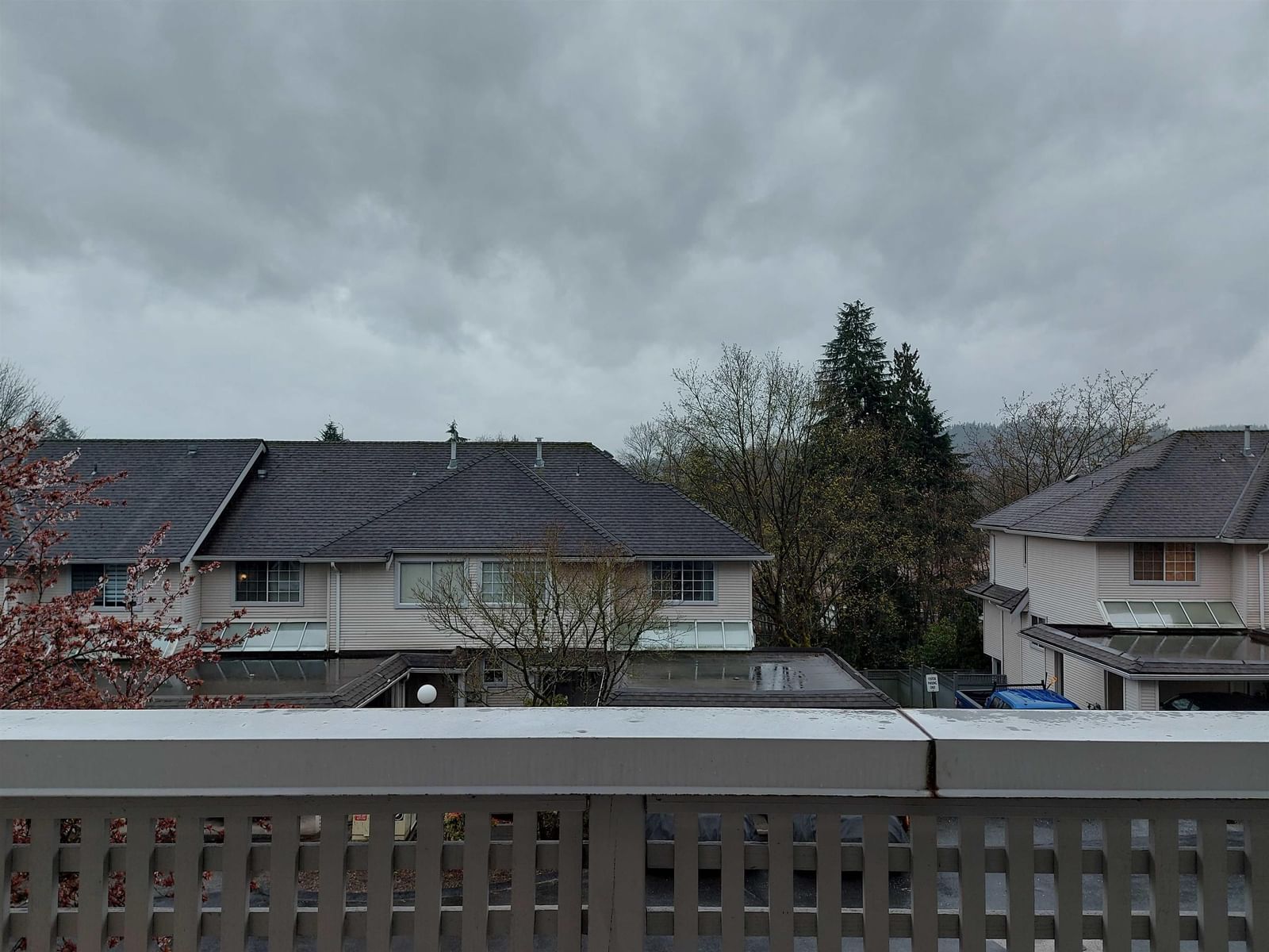 Listing Image 29