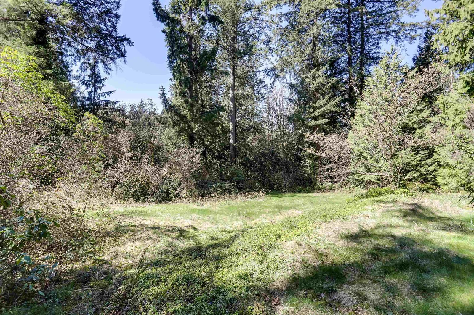 Listing Image 32