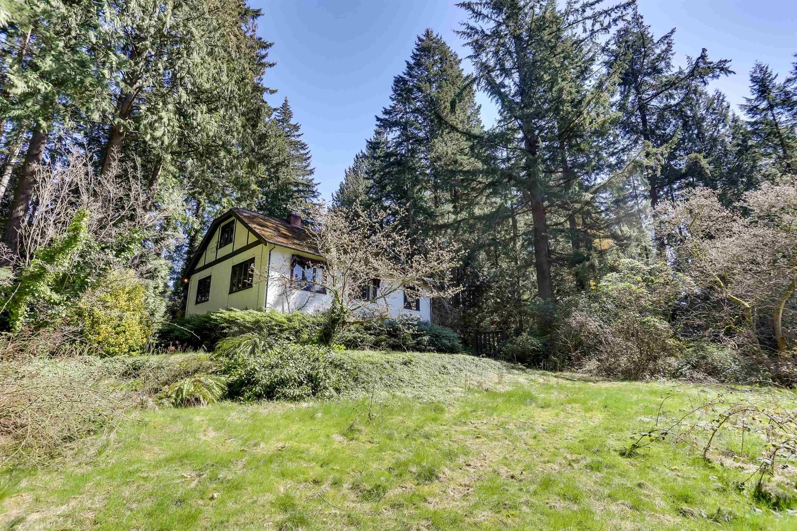 Listing Image 34
