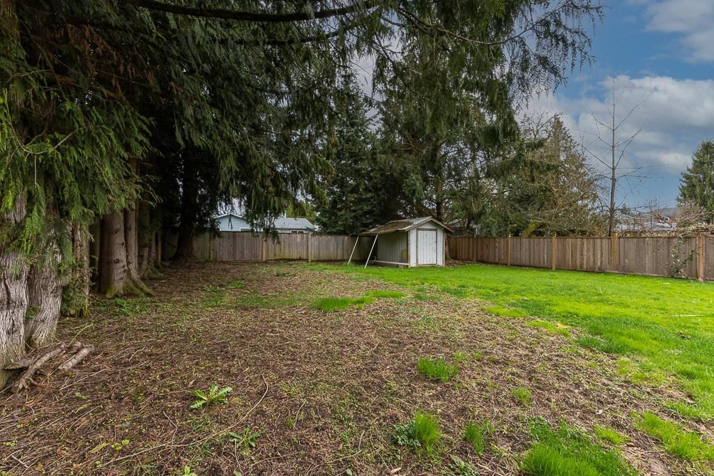 Listing Image 32