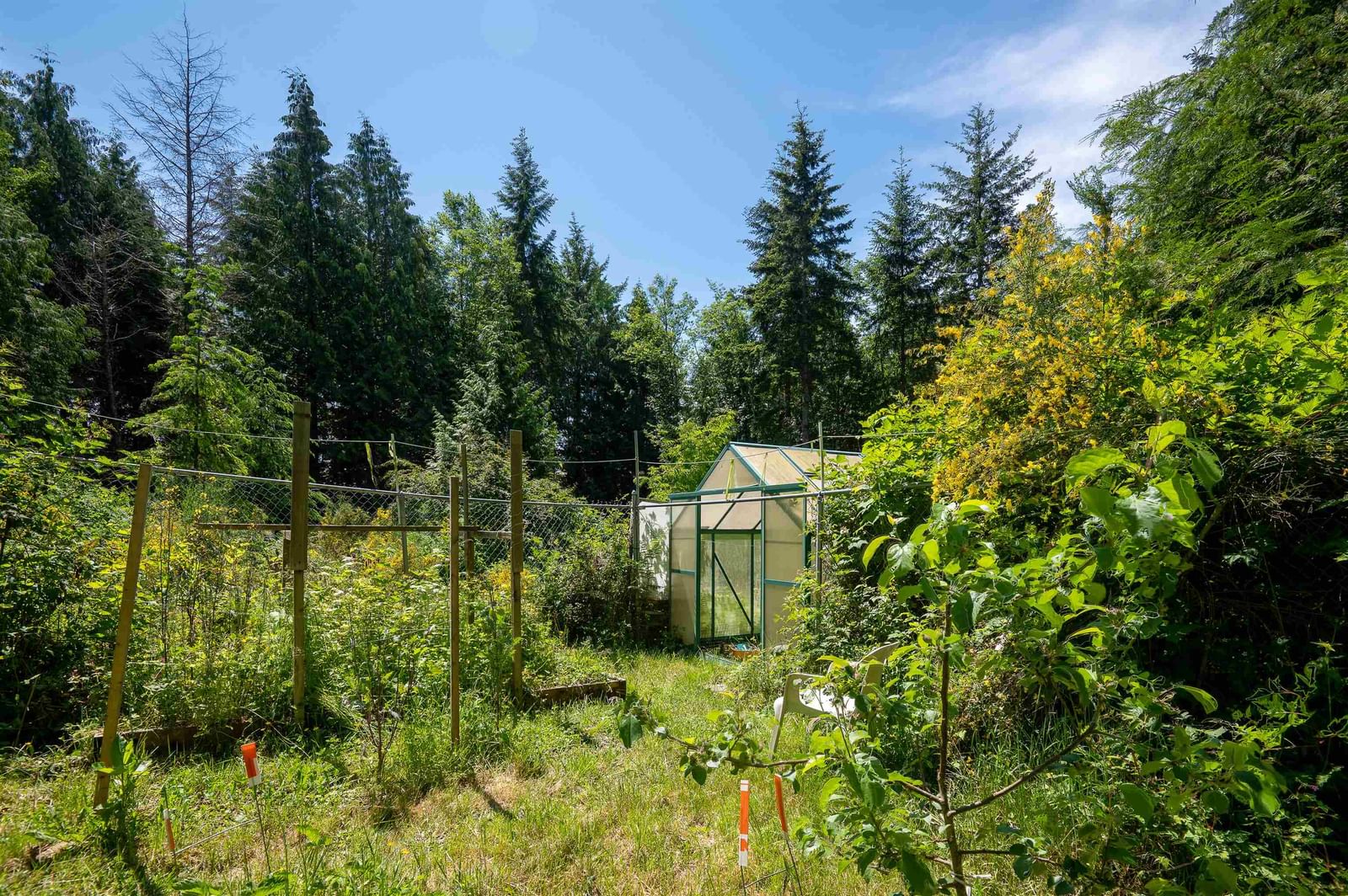Listing Image 34