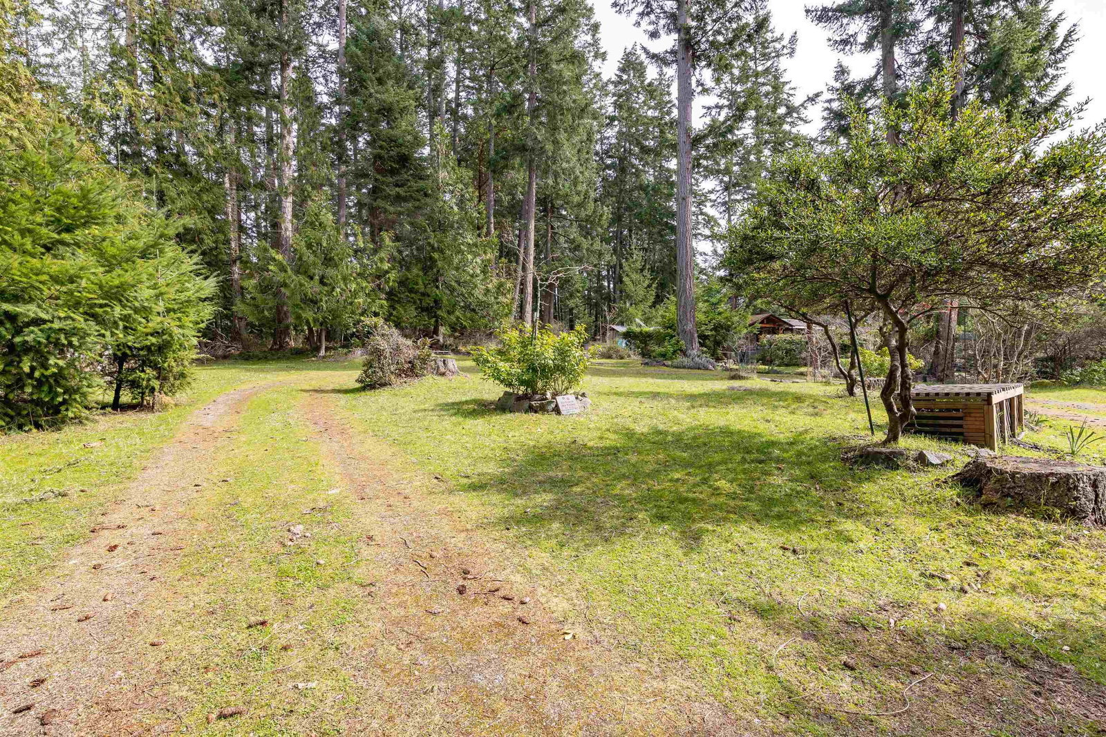 Listing Image 29
