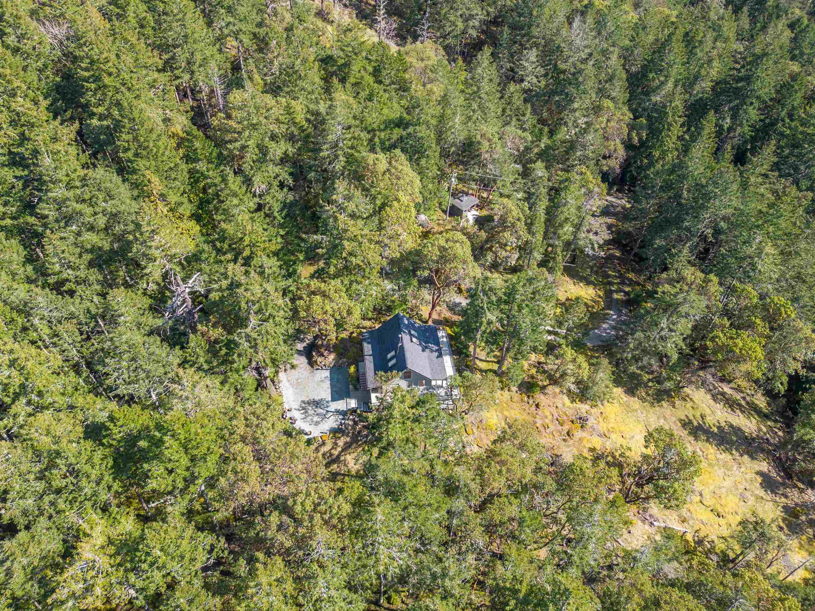 Listing Image 38