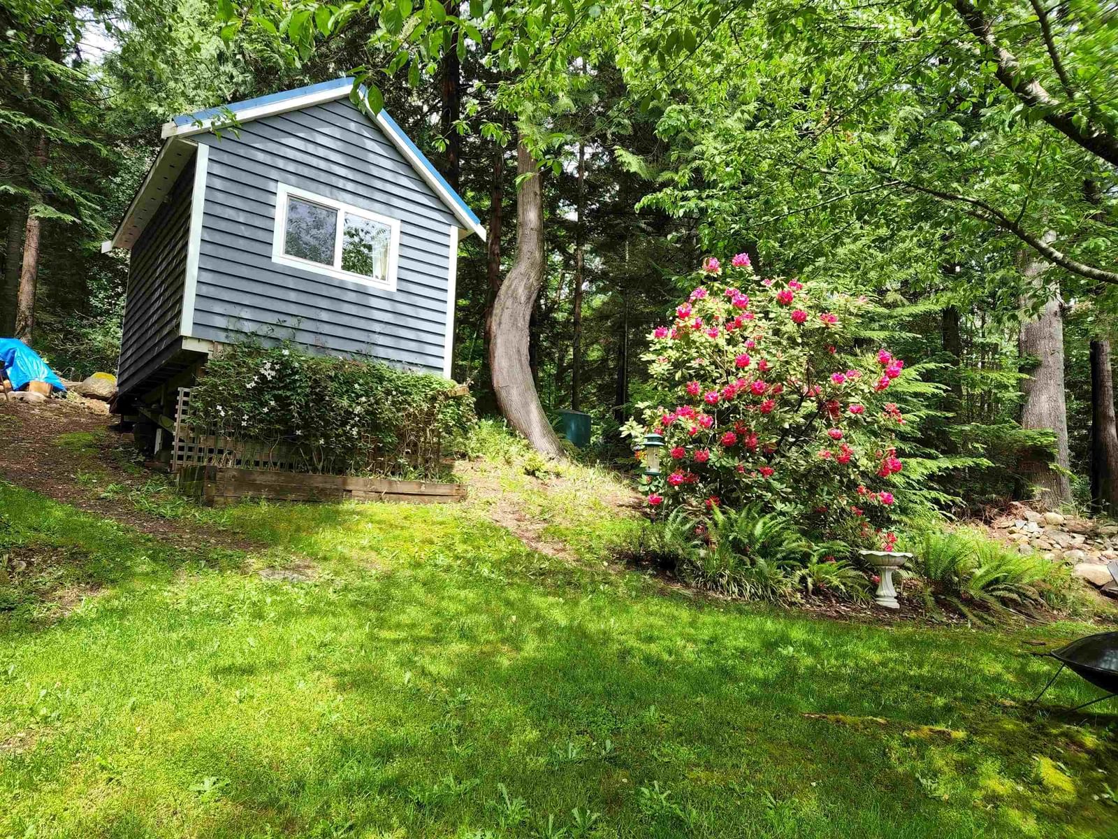 Listing Image 29