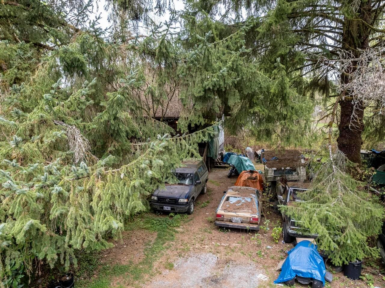 Listing Image 12