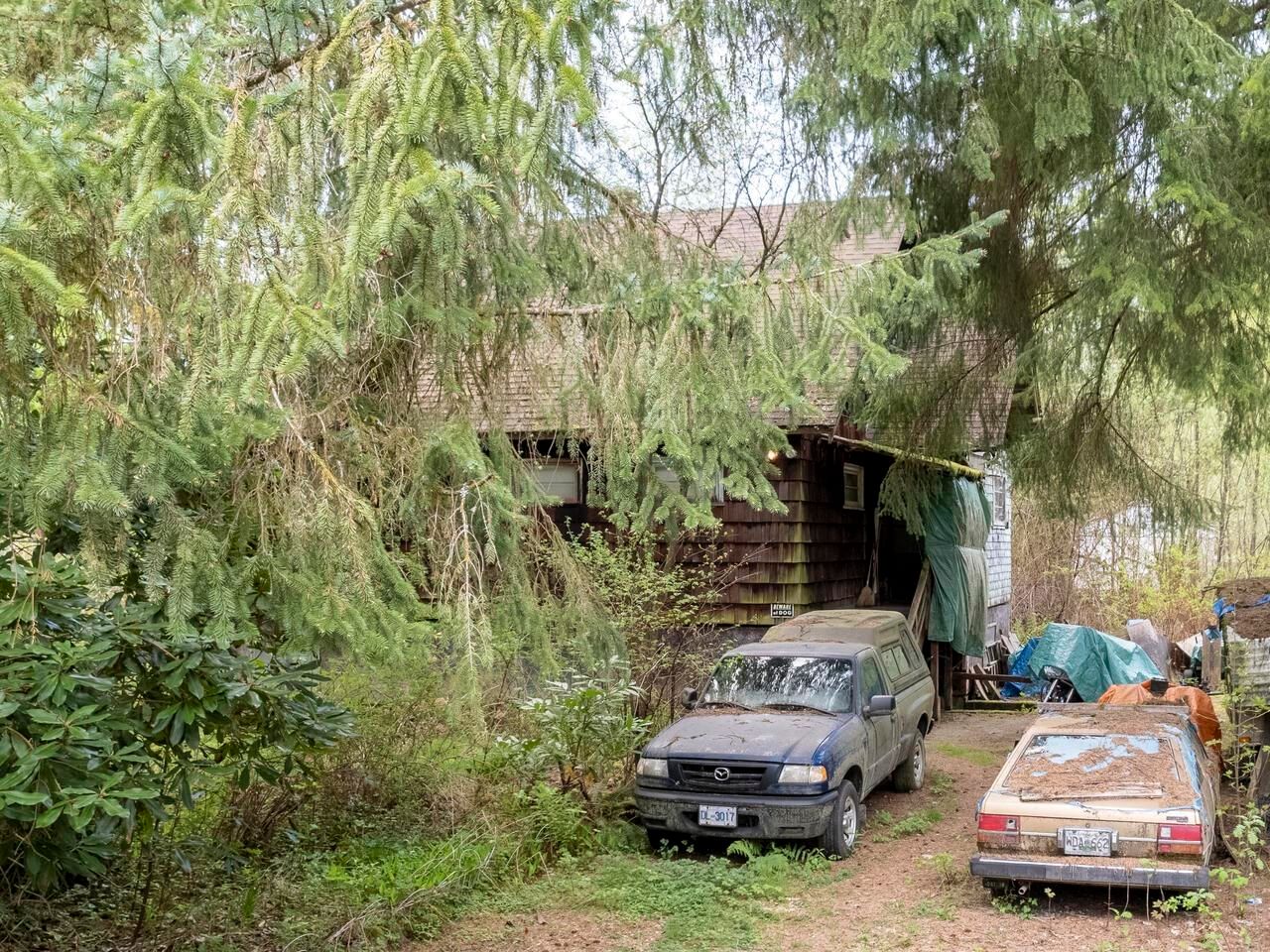 Listing Image 13