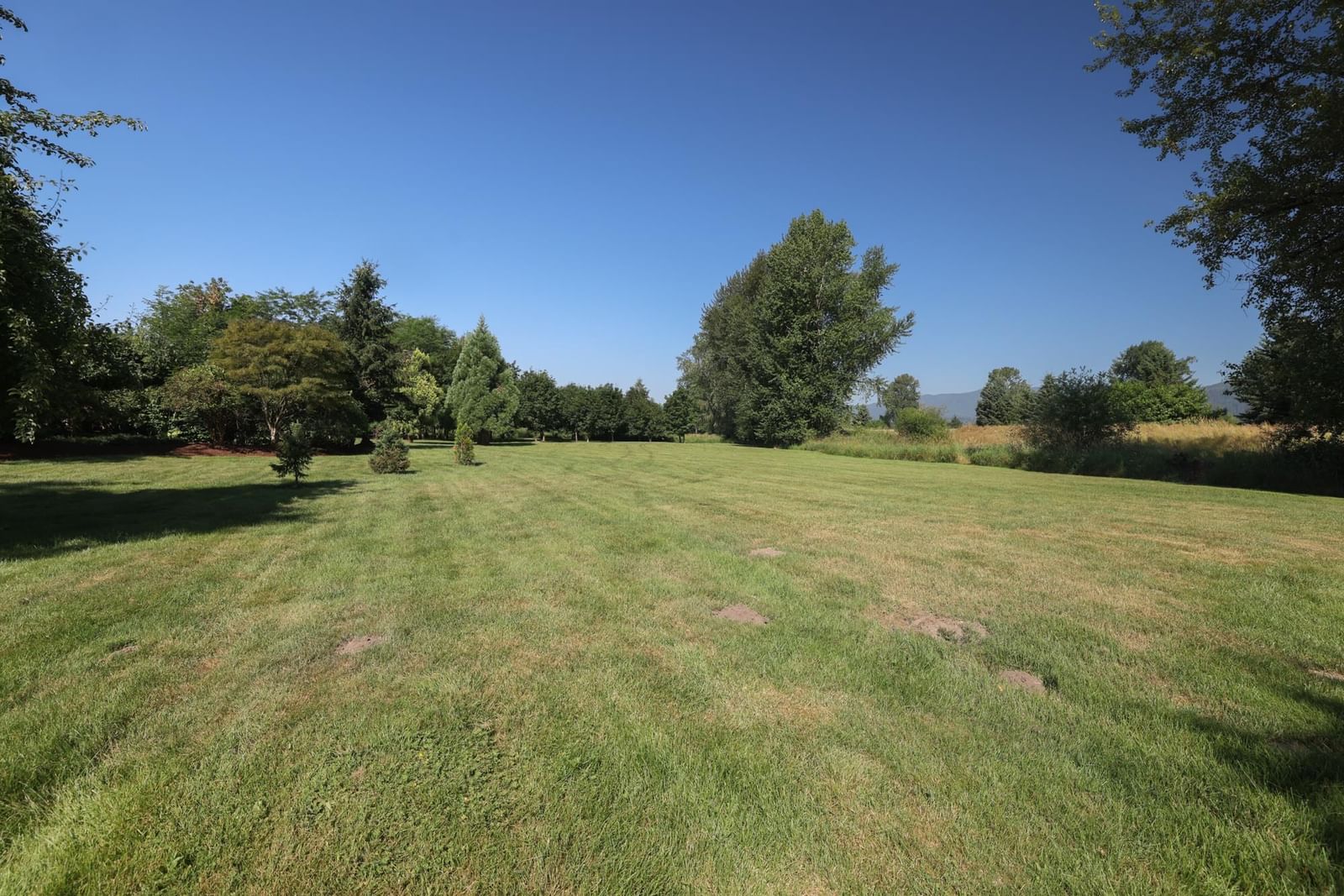 Listing Image 28