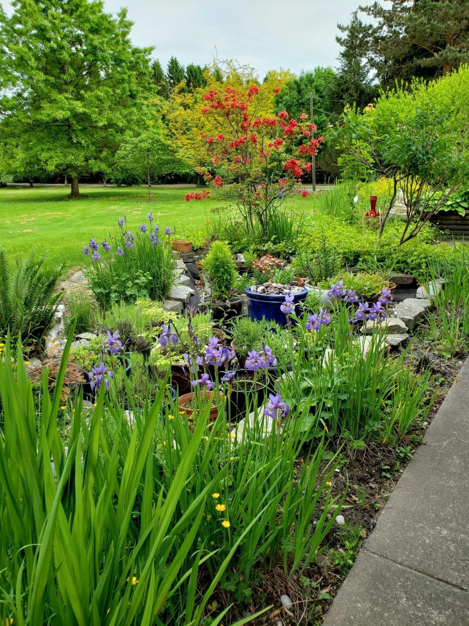 Listing Image 37