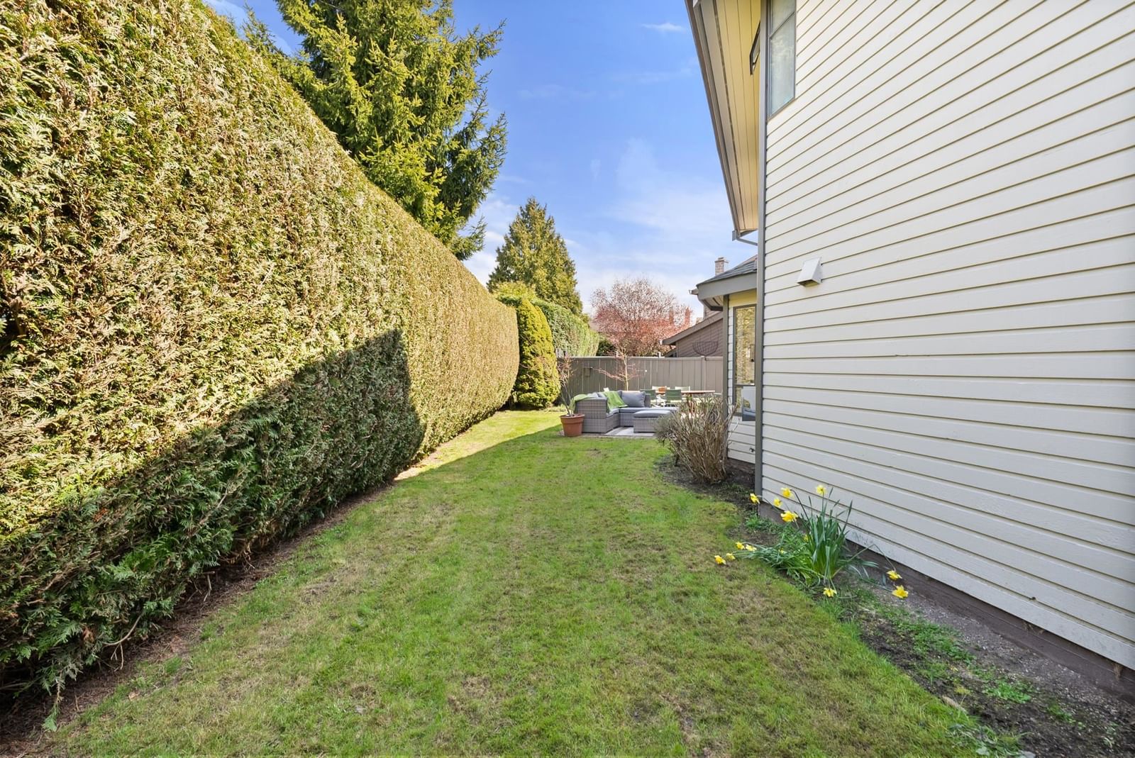 Listing Image 25