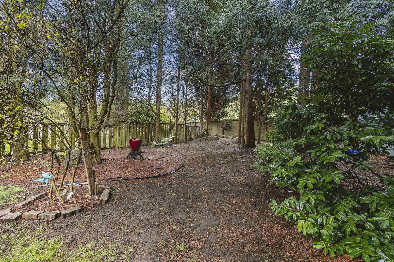 Listing Image 37