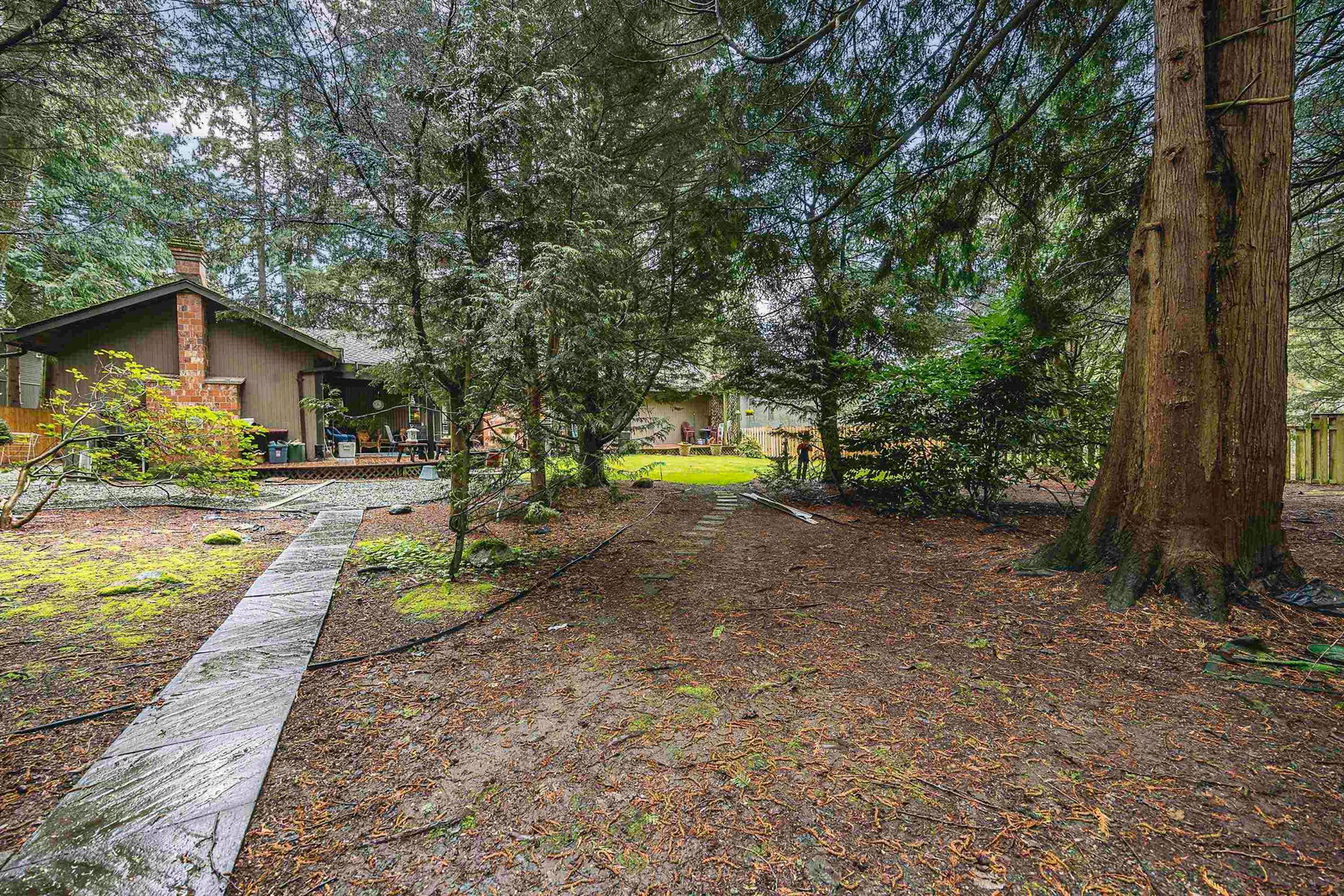 Listing Image 39