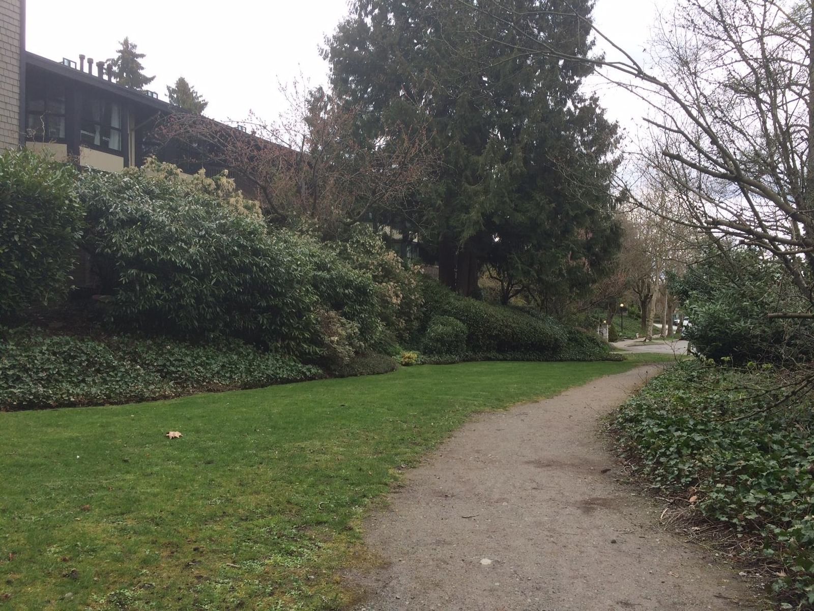 Listing Image 37