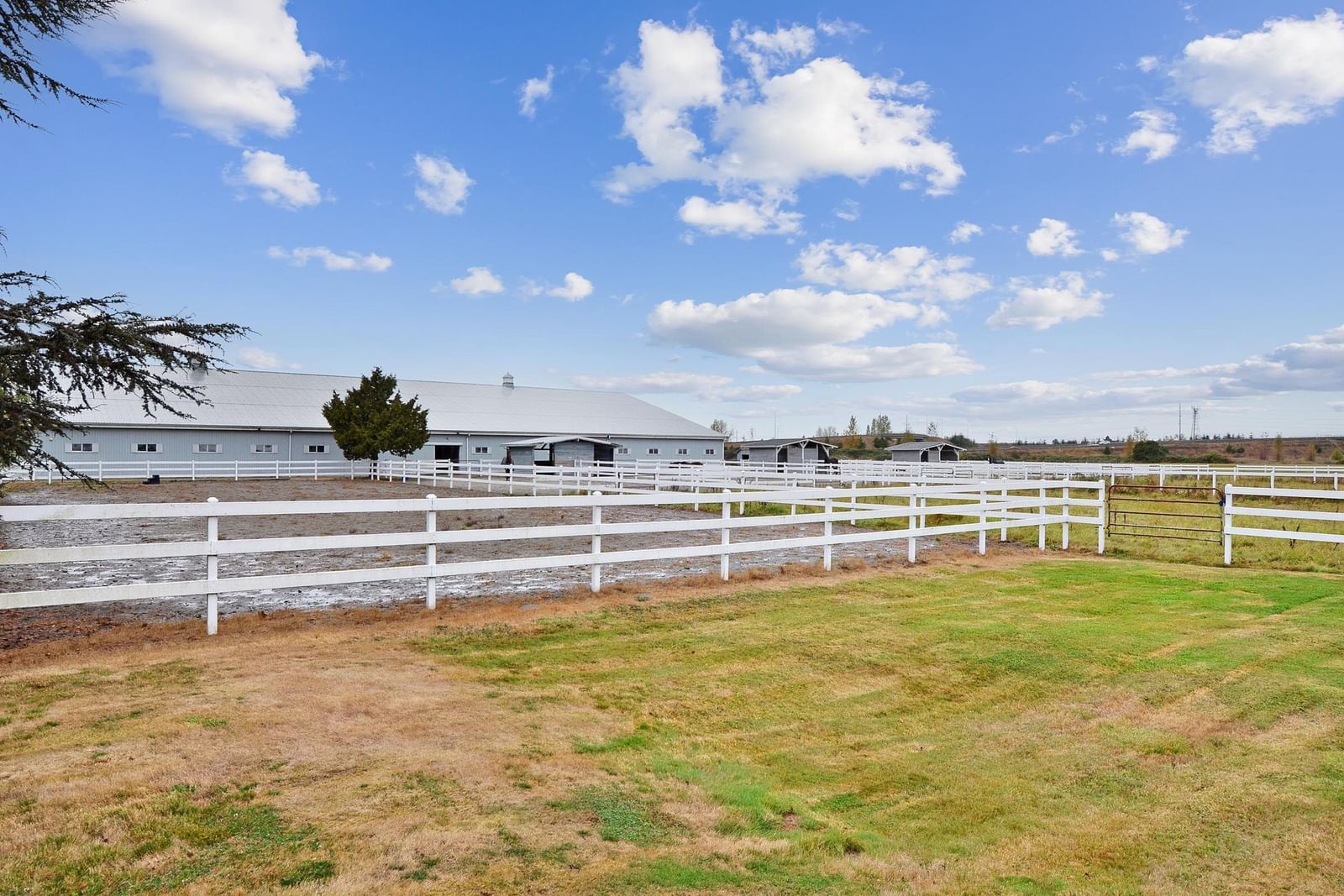Listing Image 14