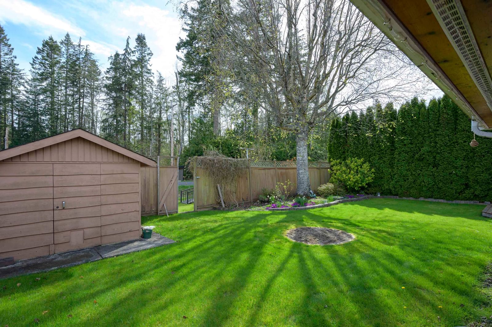 Listing Image 29