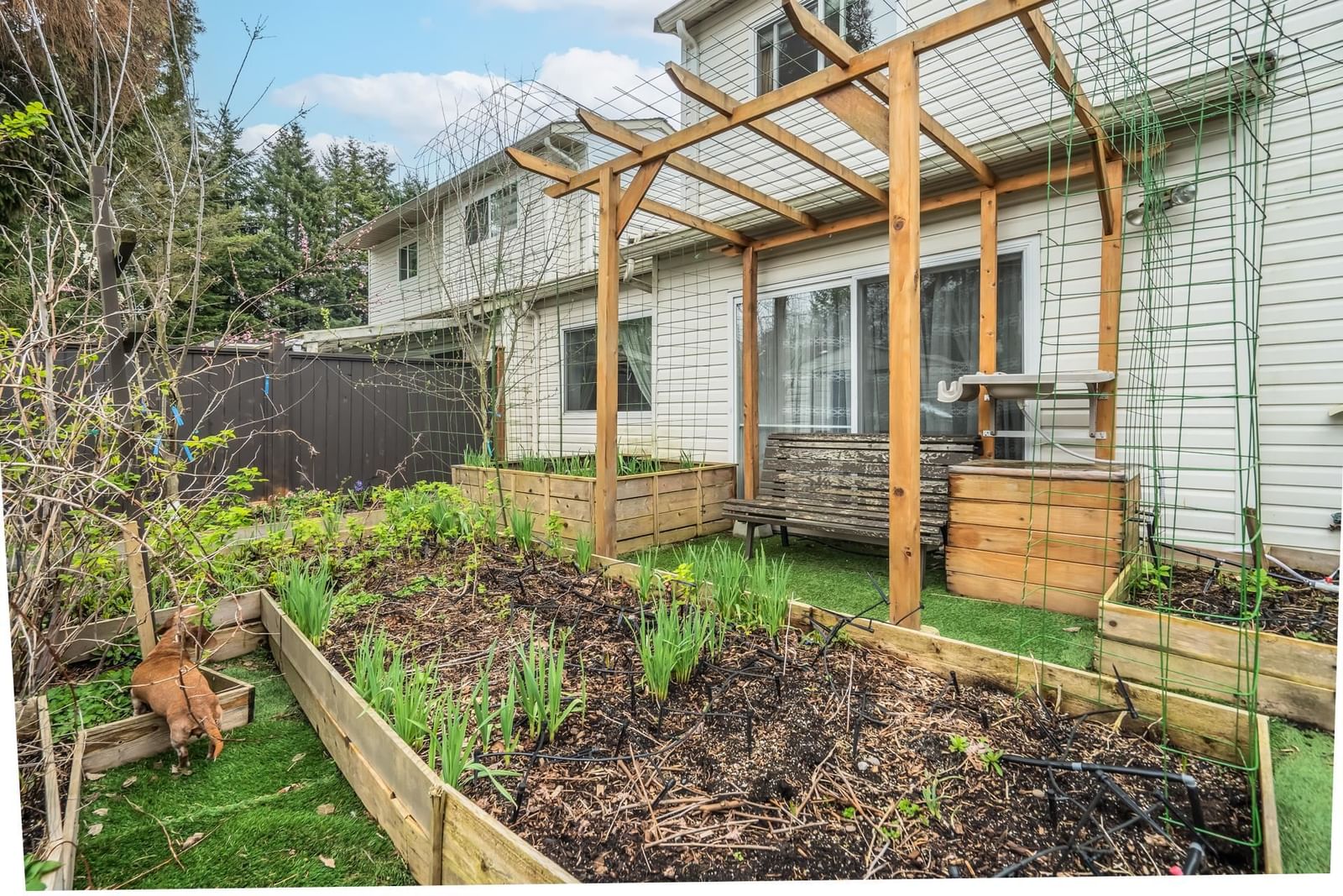 Listing Image 23