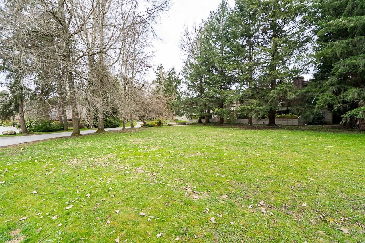 Listing Image 28