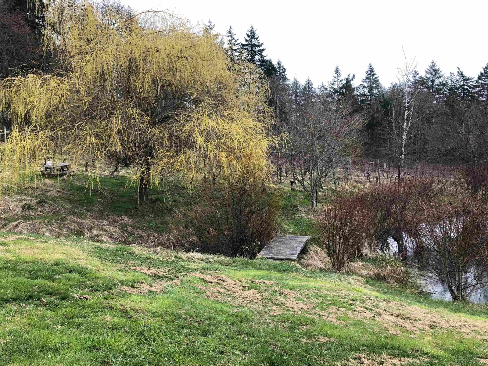 Listing Image 5