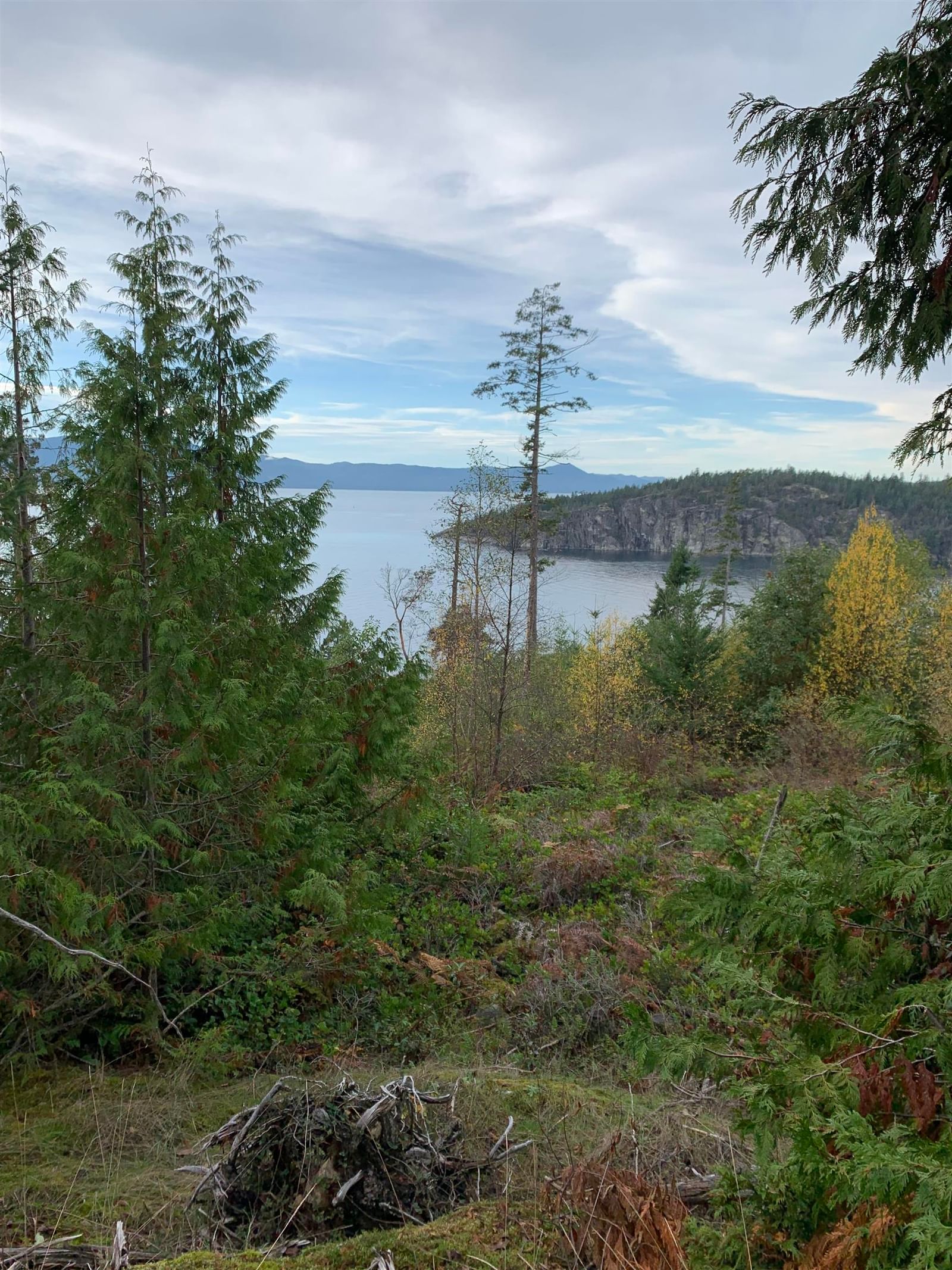 Listing Image 17