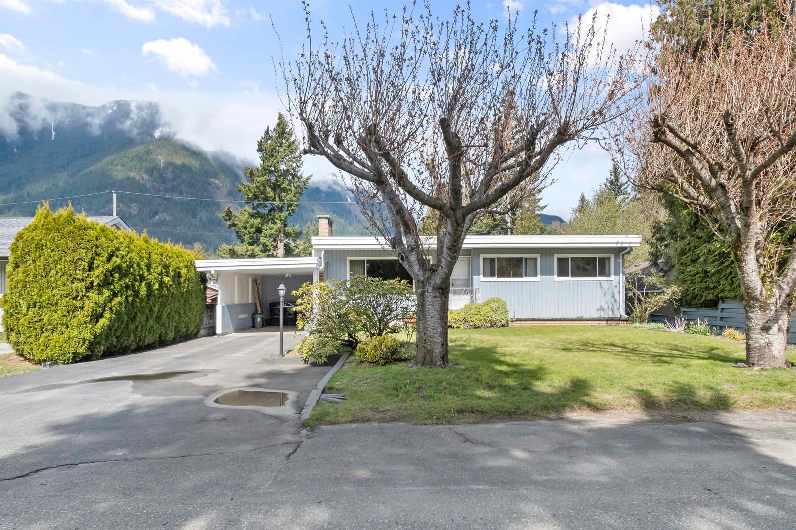 Listing Image 29