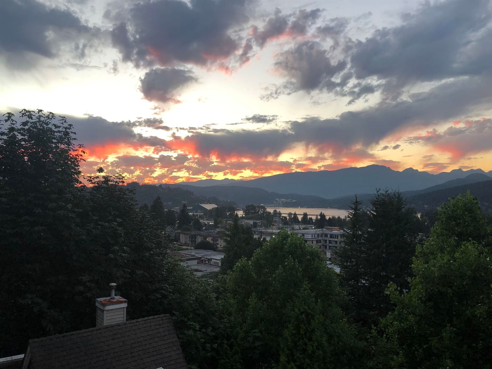 Listing Image 30