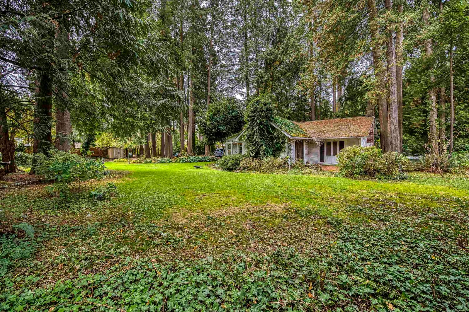 Listing Image 8
